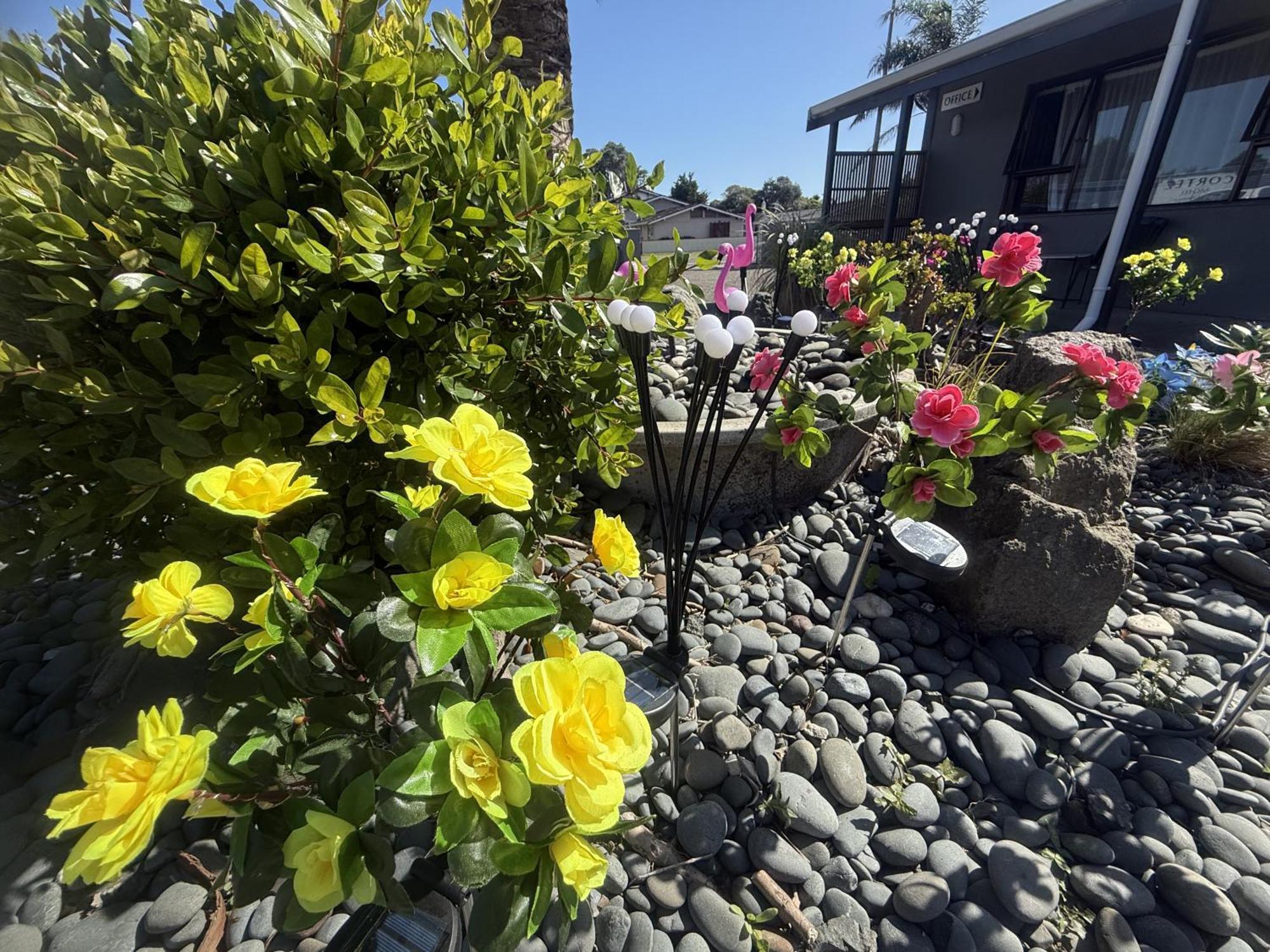 Cortez Motel Whakatane Eksteriør bilde